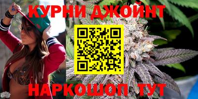 гидра Ливны