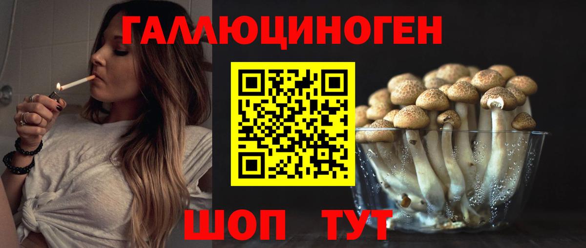 Псилоцибиновые грибы MAGIC MUSHROOMS  Вход с VPN  Елизово 